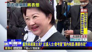 東皋採菊集》盧秀燕選黨主席已眾望所歸？