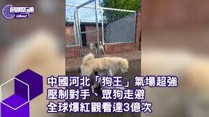 老孫侃時政》從查理王看清德宗與關稅帝君