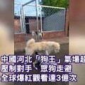 老孫侃時政》從查理王看清德宗與關稅帝君