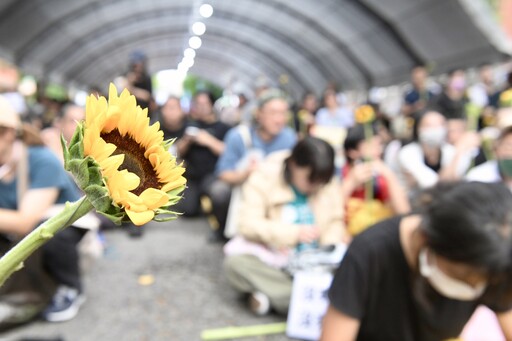 變裝皇后妮妃雅聲援民間團體 手持太陽花抗議反黑箱