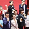 【圖輯】國會改革覆議案藍白聯手否決 綠黨團將提釋憲、暫時處分