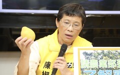 台獨頑固分子清單有「陳椒華」 網友諷：黃國昌太陽花、柯文哲自稱深綠怎沒列？