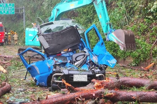 【康芮襲台】躲颱風竟遇死劫！合歡山公路樹倒砸車 1死1傷