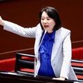 揭勞動部調查小組都是自家人 王鴻薇：菊系愛將官官相護爛到根