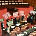 防堵藍營強行通過《選罷法》修法 民進黨團「51戰隊」一早議場集結