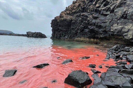 海底星空！珊瑚產卵大爆發 墾丁海域如天女散花、澎湖七美粉紅派對遊客驚喜