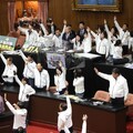 《憲訴法》覆議若遭否決 民進黨團將祭釋憲與暫時處分