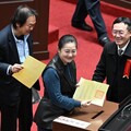 藍白否決《憲訴法》覆議案 綠營再反制：暫時處分、釋憲文件即刻送出