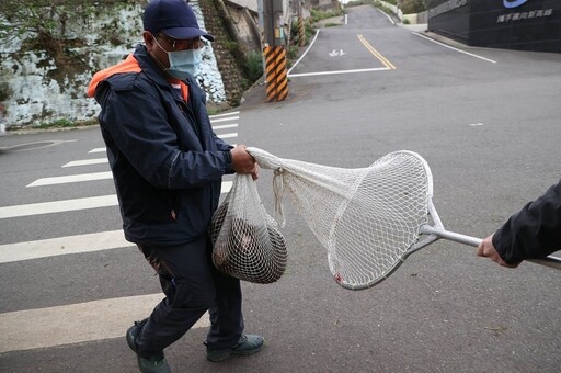 六福村狒狒逃脫遭射擊慘死 農業局技工下令「開槍」被判刑8月