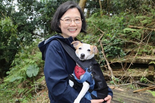 蔡英文挑戰「樟之細路」 笑稱愛犬樂樂：爬到懷疑狗生