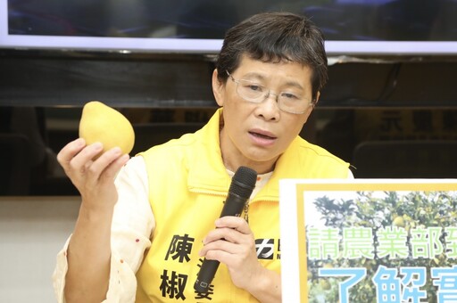 陳椒華宣布退出時代力量 未獲家人同意不會再參加政黨