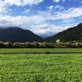 18年來首例！政院重啟公地放領政策 宜蘭大南澳80公頃「台拓地」還地於民