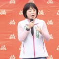 任職民團時獲中央百萬標案 林月琴遭酸「吳春城翻版」出面再反擊