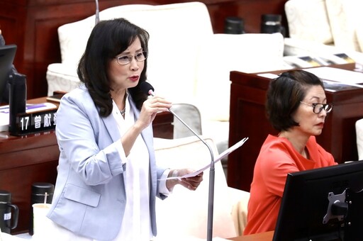 秦慧珠點名賴苡任言行不當 批罷吳作業瑕疵、言行傷害國民黨