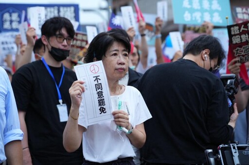 柯文哲聲請投票遭駁回 陳佩琪喊話小草：幫阿北投下不同意票