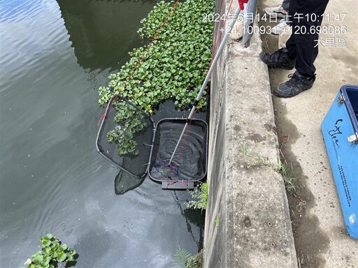 台中環保AI科技、哨兵魚雙管齊下 提升水質監測