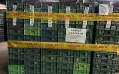 彰化強化源頭把關 啟動蛋雞場芬普尼全面採樣監測