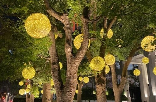 點亮台中 中市行道樹經審核通過者免費懸掛燈飾