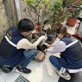 梅雨季防登革熱 中市環保局籲落實「巡倒清刷」防堵登革熱