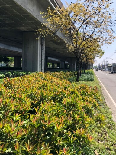 台中74線橋下變綠廊 公私協力打造城市綠指環