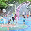 清涼一夏 潭雅神綠園道戲水區6/14開放