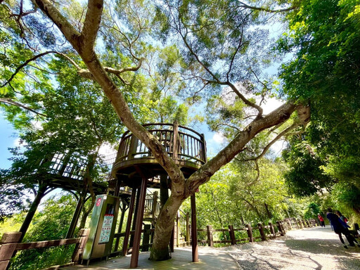 大坑10號特產步道 夏日品味在地農產與美景