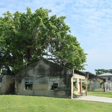 保障居住與生活權 重現過去生活記憶與社區感情 六路拓寬完工 周邊眷村藝文地景展現綠意美學