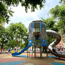 上新莊綠意滿城 公園成為白鼻心最愛的新樂園