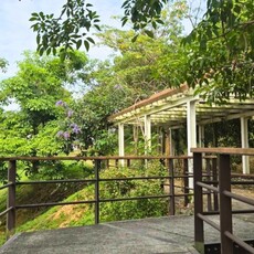 雙園串聯步道啟用 分流停車壓力 打造舒適綠色遊園環境