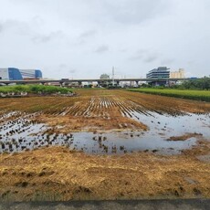 中市稻草再利用補助開跑 12月5日前受理申請