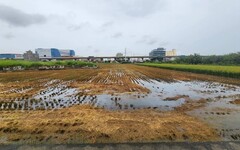 中市稻草再利用補助開跑 12月5日前受理申請