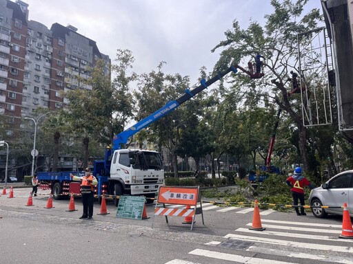 迎戰汛期強風豪雨！ 中市建設局將修剪萬株樹木 全面強化都市防災網