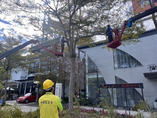 迎戰汛期強風豪雨! 中市建設局將修剪萬株樹木 全面強化都市防災網