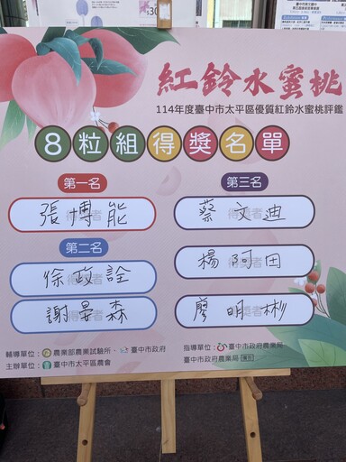 台中太平區優質水蜜桃果品評鑑競賽 農友張博能勇奪平地水蜜桃達人