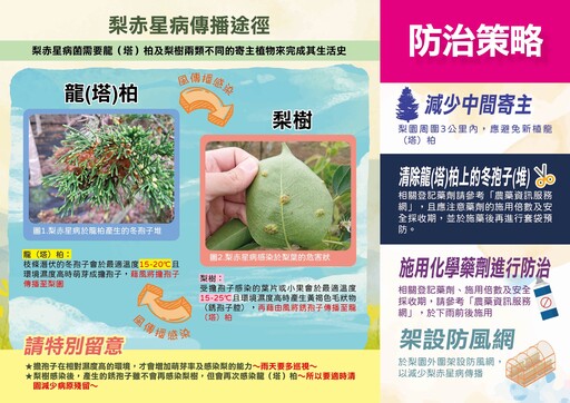 多元防治疫病蟲害助永續發展 中市農業局提醒切勿施用已禁用農藥