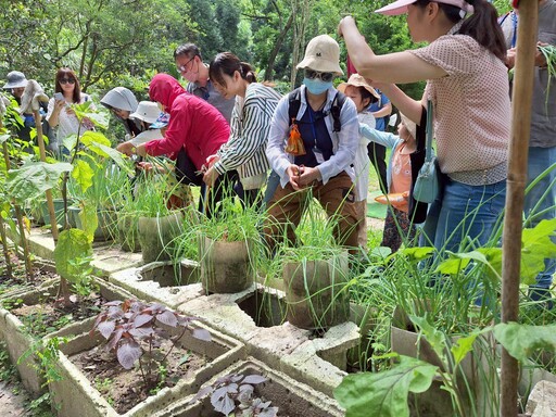 中市豐原戶所推「蔥」滿幸福食農主題班 邀新住民體驗食農樂趣