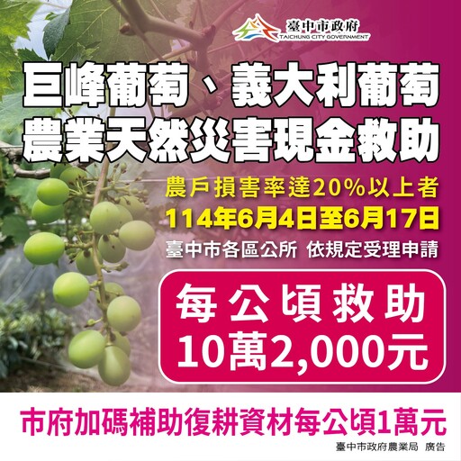 中市葡萄災損 6/17前可申請現金救助