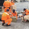 基隆港查緝行動奏效 海巡署查獲走私大陸貨品350公斤