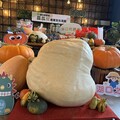 湖口瓜瓜節周末好客園區登場 邀鄉親來吃瓜玩瓜