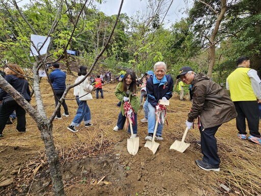 北市推動碳匯法制化 全國首創增量辦法6月上路