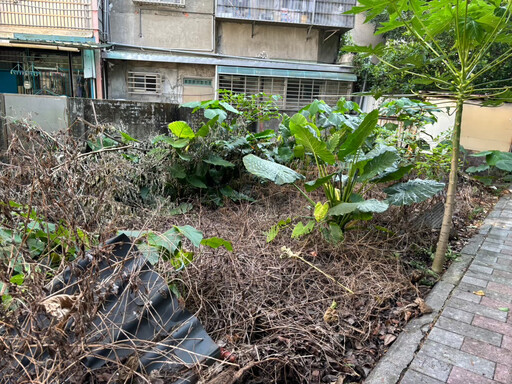 除草別亂噴!非農業區施用恐挨罰5萬元
