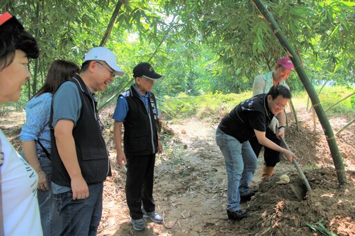 2025潭子竹筍節登場! 中市府攜手筍農打造「潭竹盛宴」 展現農業文化魅力