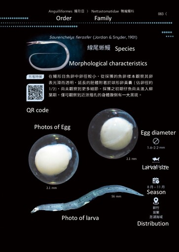 全球首套經DNA驗證的魚類早期生活史圖鑑 《魚大十八變-魚卵及仔稚魚多樣性圖鑑》