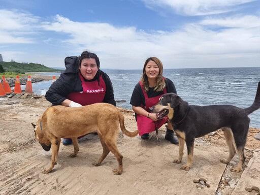 國際學生獻愛心 淡水動物之家浪浪迎來巴拉圭天使