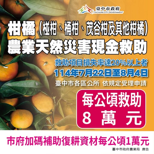 中市椪柑受天然災害影響 中市農業局提醒：8/4前可申請現金救助