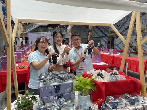 台中葡萄永續果品評鑑 總獎金逾32萬元 第一階段果品評鑑結果揭曉
