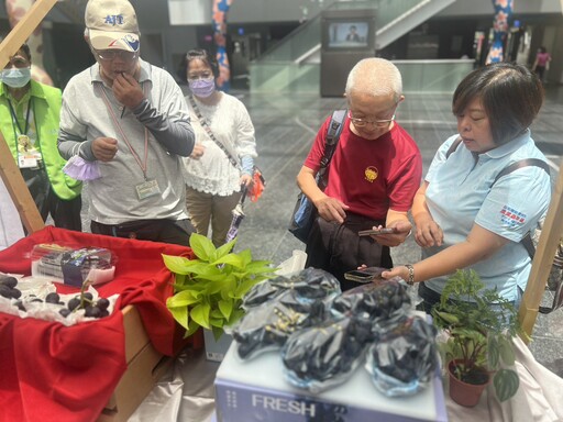 台中葡萄永續果品評鑑 總獎金逾32萬元 第一階段果品評鑑結果揭曉