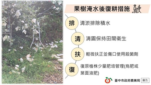 豪雨過後注意病害防治 中市府呼籲農友儘速復耕並依限申請救助