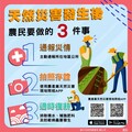 豪雨過後注意病害防治 中市府呼籲農友儘速復耕並依限申請救助