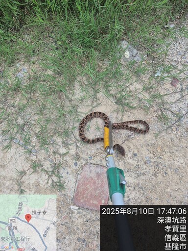 幼童於遊戲場不慎遭蛇吻 動保所呼籲民眾主動巡查即時通報